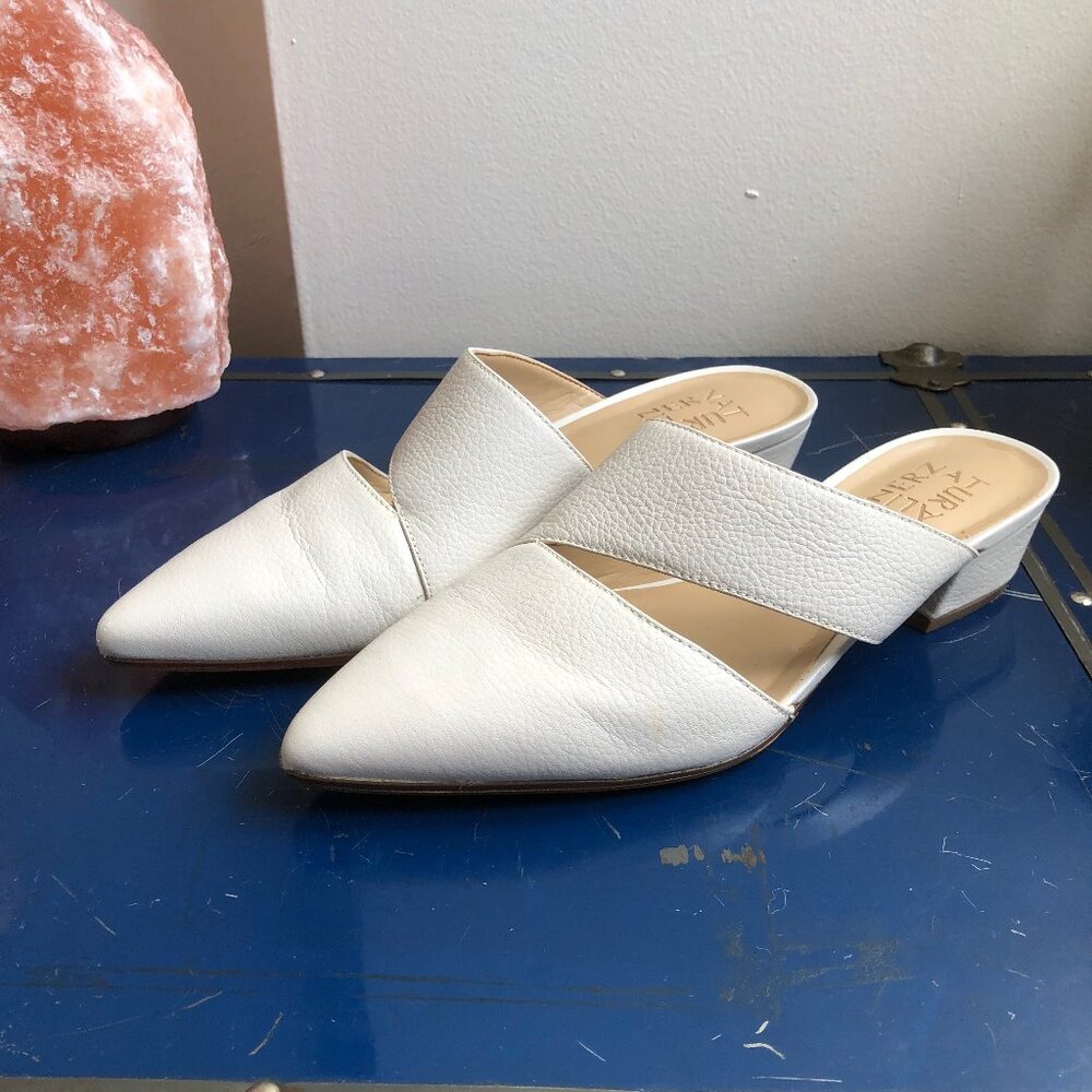 Naturalizer Pointed Toe Flats